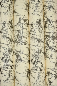 Panipat Textile Hub Polyester Eyelet Beige Designer Print Velvet Blackout curtains Pack of 2 - Door (4x7 Feet), Pista