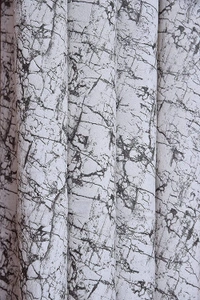 Panipat Textile Hub Polyester Eyelet White Designer Print Velvet Blackout curtains Pack of 2 - Window (4x5 Feet), White