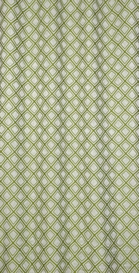 Panipat Textile Hub Polyester Eyelet Green  jacquard curtains Pack of 2 - Long Door (4x9 Feet)