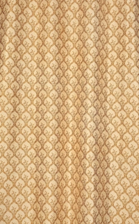 Panipat Textile Hub Polyester Eyelet Gold Designer Print curtains Pack of 2 - Door (4x7 Feet)