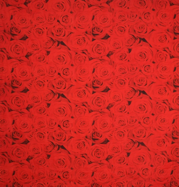 Panipat Textile Hub 140 TC Microfiber 3D Rose Printed Flat Double Bedsheet  With 2 pillow cover - Double Bedsheet