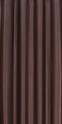 Panipat Textile Hub Polyester Eyelet Brown Solid Plain curtains Pack of 2 - Window (4x5 Feet)
