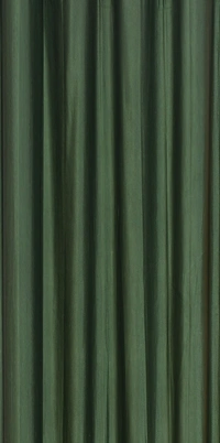 Panipat Textile Hub Polyester Eyelet Dark Green Solid Plain curtains Pack of 2 - Long Door (4x9 Feet)