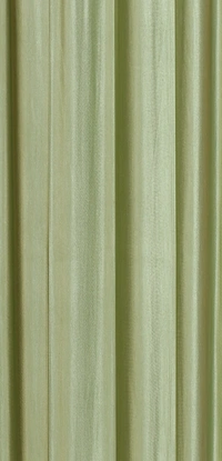 Panipat Textile Hub Polyester Eyelet Light Green Solid Plain curtains Pack of 2 - Window (4x5 Feet)