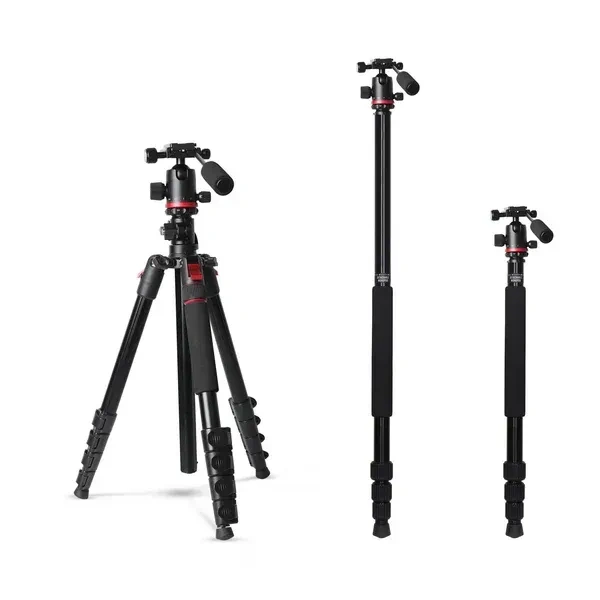 Digitek® Digitek DTR 530 BH Tripod Cum Monopod for DSLR & Camera | 5.44ft Max Height, 5kg Load, Ball Head, Quick Release Plate, 5-Section Legs | Perfect for Macro & Video Shoots