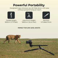 Digitek® Digitek DTR 530 BH Tripod Cum Monopod for DSLR & Camera | 5.44ft Max Height, 5kg Load, Ball Head, Quick Release Plate, 5-Section Legs | Perfect for Macro & Video Shoots