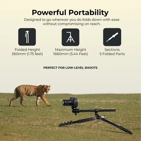 Digitek® Digitek DTR 530 BH Tripod Cum Monopod for DSLR & Camera | 5.44ft Max Height, 5kg Load, Ball Head, Quick Release Plate, 5-Section Legs | Perfect for Macro & Video Shoots