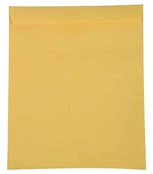 Laminated Envelope (10"x12") -Pack of 50 Envelopes | Royal Stationers Best Quality Guarantee