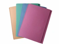 Cobra Spring File, File folders for Office, Schools, Colleges and Home Documents,Office Files | Royal Stationers Best Quality Guarantee