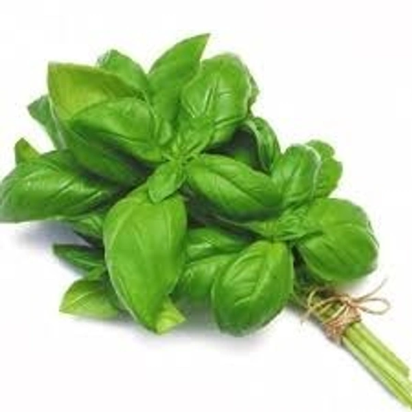 Basil Italian  - 1 Kg