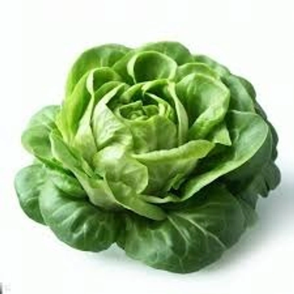 Butterhead lettuce - 1/2 Kg