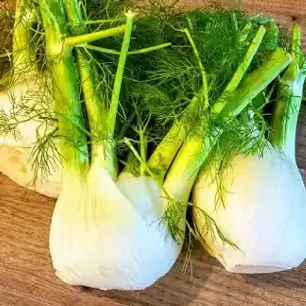 Fennel  - 1/2 Kg
