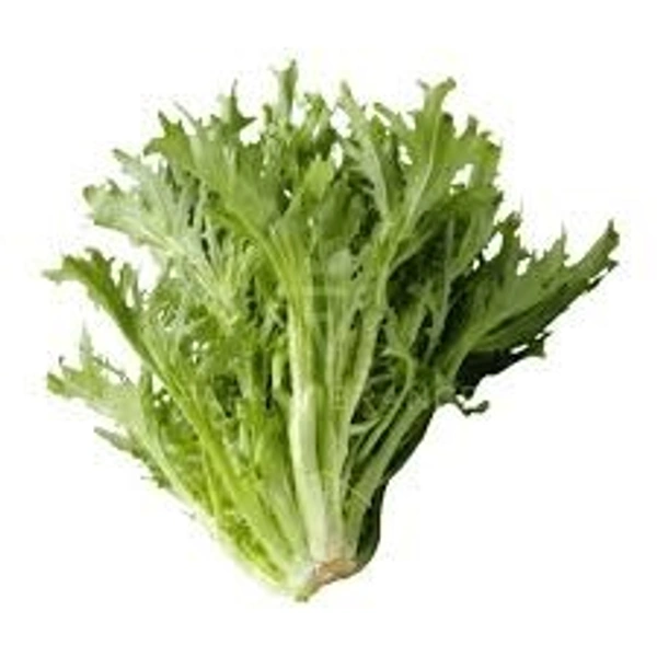 Lettuce Endive / Frisse - 1/2 Kg