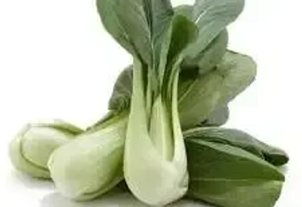 Pokchoi - 1/2 Kg