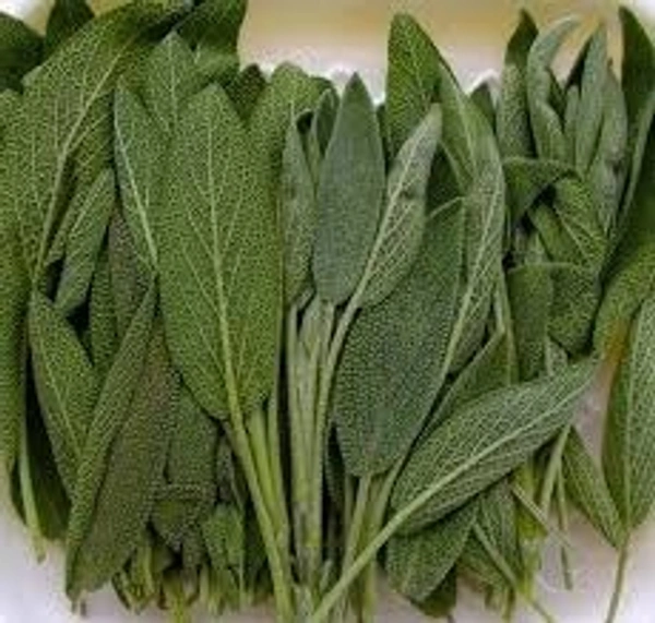 Sage - 1 Kg