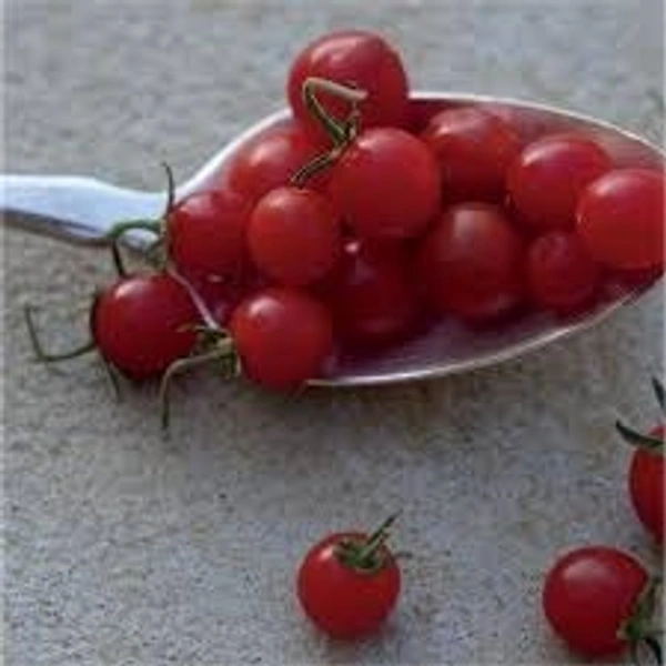 Spoon Tomato - 1/2 Kg