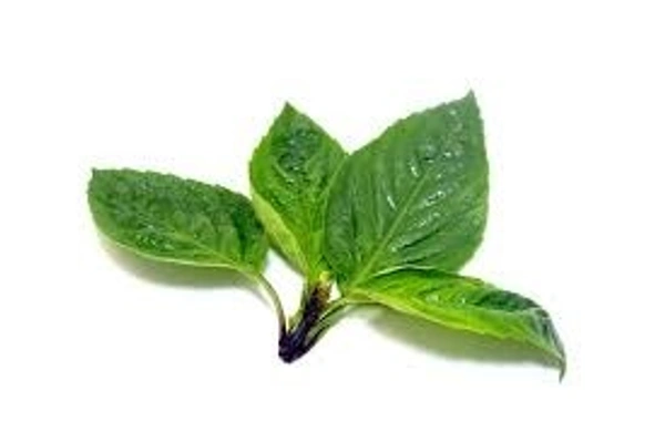 Thai Sweet Basil - 1 Kg