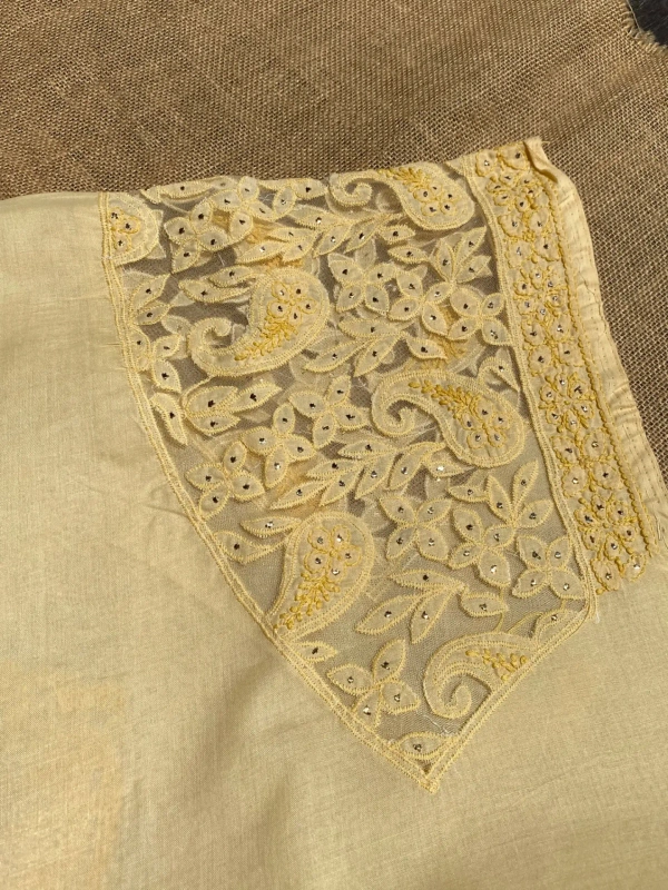 Naaz Chikankari Netpatch Unstiched Kurta - Beige
