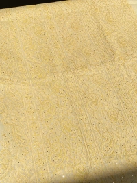 Naaz Chikankari Netpatch Unstiched Kurta - Beige