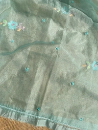 Parsi Gara Organza Unstitched Kurtas - Mint Green