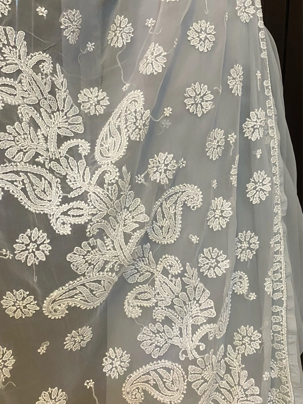 Light Grey Chikankari White Embroidered Saree - Grey