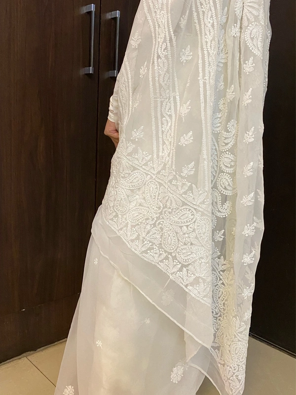 White Chikankari White Embroidered Saree - white