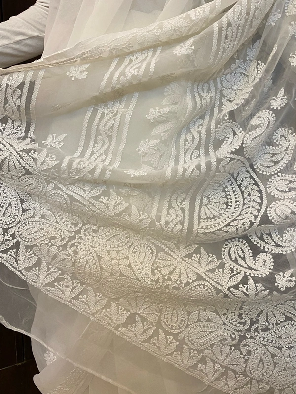 White Chikankari White Embroidered Saree - white