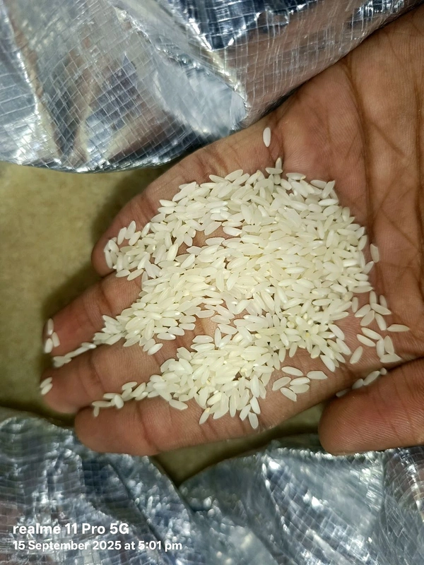 Hmt DUBRAJ Rice 60rs /Kg