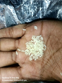 Hmt DUBRAJ Rice 60rs /Kg