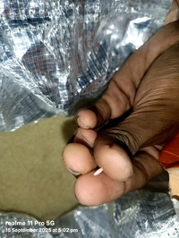 Hmt DUBRAJ Rice 60rs /Kg