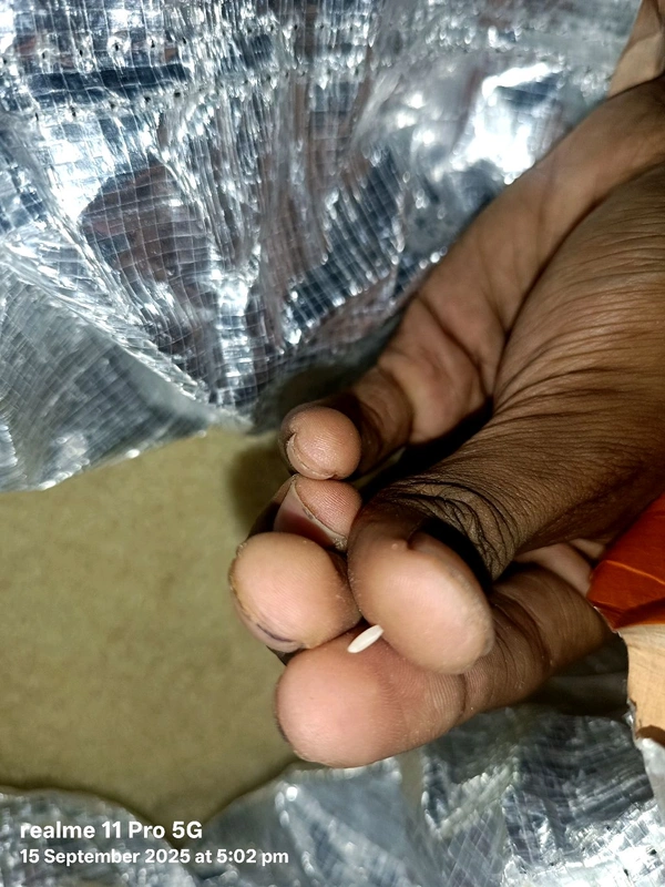 Hmt DUBRAJ Rice 60rs /Kg