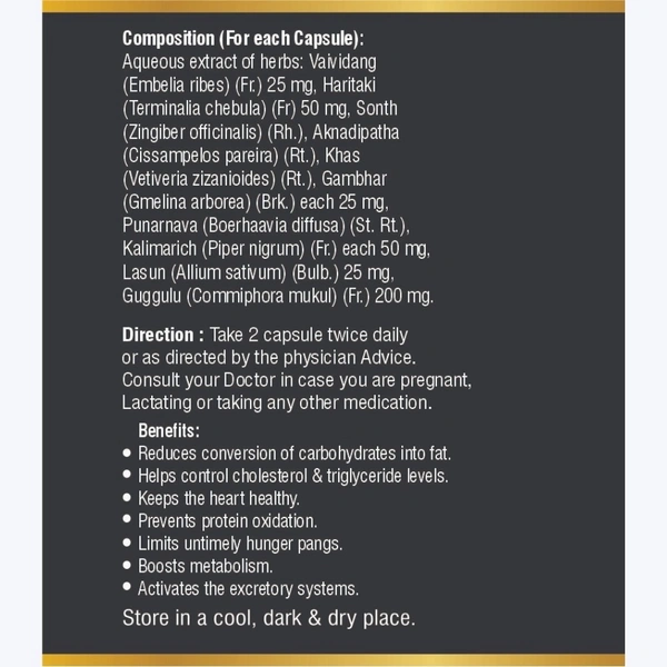 AB Fitness Fat Burn Capsules (60Caps) - 60 Capsules