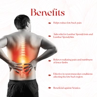 Arya Vaidya Pharmacy (AVP)  Lumbajith Capsule (100caps) - 100 Capsules