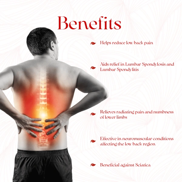 Arya Vaidya Pharmacy (AVP)  Lumbajith Capsule (100caps) - 100 Capsules