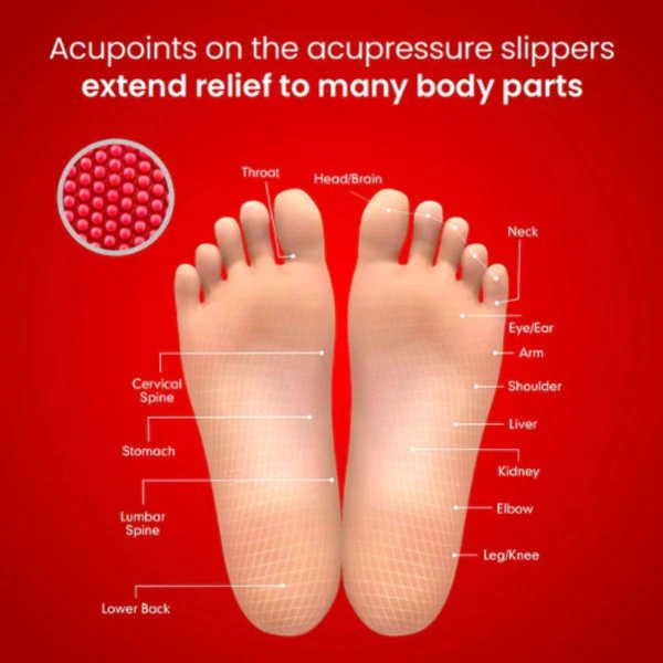 Dr. Ortho Acupressure Slippers UK 5 (247mm) - UK 5 (247mm)