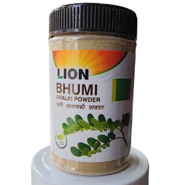 LION BRAND (Shree Narnarayan Ayurvedic Pharmacy) Lion Bhumi Amalki Powder (100g)