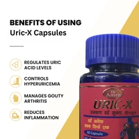 Dr. Amrit HealthCare Uric-X Capsules (30Caps) - Controls Uric Acid