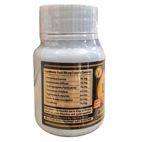 Vaidban Ayurvedic Bhawan Vaidban LIV-XN Capsules (60Caps)