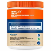 Nature's Society Organic Shatavari Root Powder (100gm) - 100 Gm