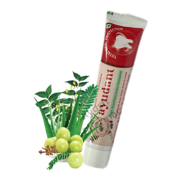 Baidyanath Jhansi Baidyanath Ayurvedant Ayudant Herbal Toothpaste (100gm)