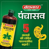 Baidyanath Jhansi Baidyanath Panchasava (450ml)