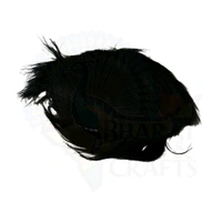 Ramkrishna Paramahansa Wig - Free