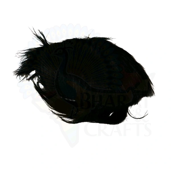 Ramkrishna Paramahansa Wig - Free