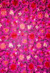 Kashmiri Embroided Woolen Shawl/Stole