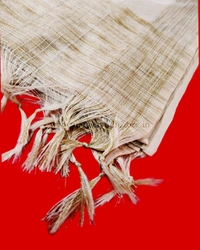 Tusaar Rajbansh Uttorio (Golden)