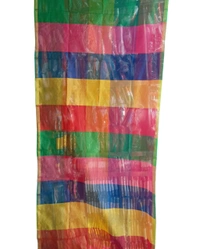 Tusaar Rajbansh Uttorio (Multicolour)