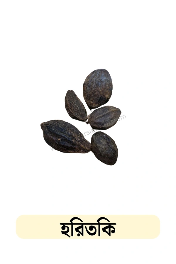 Haritaki/হরিতকি (5 Pcs)