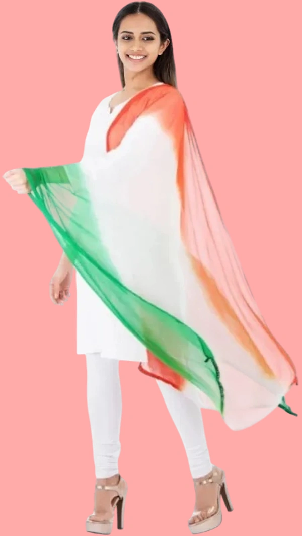 Chiffon Tiranga Dupatta
