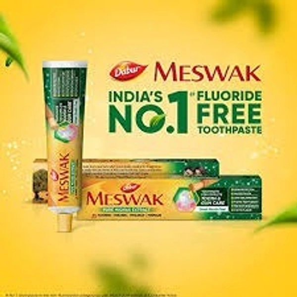 Meswak Tooth Past - 100GM