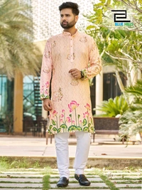 Function And Party Wear Kurta